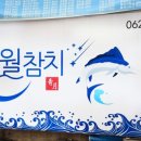 청월참치