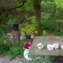 완두콩가족펜션 이미지