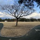 서홍동 재활용 도움센터 이미지
