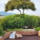 (주)수목조경 | 남양주 조경 식재공사 후기｜막막했던 옥상이 힐링 공간으로 바뀌다