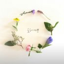 미소나무 이미지