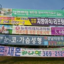 라인1차 이미지