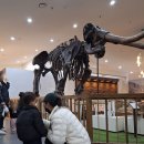 덕소자연사박물관 | 덕소자연사박물관 주말 방문 후기 🦕