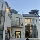 오로라애견 | 창원애견동반카페 루시올레 실내동반 가능 오로라 불멍 추천