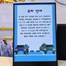이쁜냥이 | 전주 고양이카페, 귀여운 냥이들과 함께하는 '전주 아이캣유' 완벽 가이드 - 전주 집사 모임 필수코스