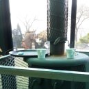 스완레스토랑 이미지