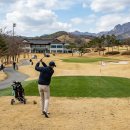 ㈜동백관광 | 꽃구경 가능한 3월 추천 골프장 BEST 5