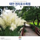 박정기의 공연산책 고 민병갈 박사의 천리포 수목원 이미지