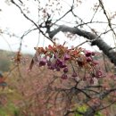 아라메길 (천년미소길-순환) 네이버블로그