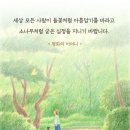 들꽃소나무