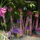 백양스크린골프 이미지