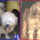 대전제일교회 앞 이미지