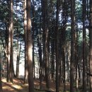 서리산농장 이미지