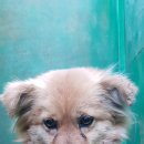 안녕남로 이미지