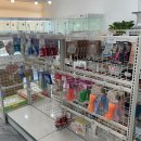 퍼피루미 이미지