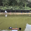 유동낚시터 | 고양시 문봉낚시터 조행기 🎣 비 오는 날에도 20마리 붕어 손맛!(2025.08.18)