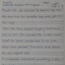 Pinocchio-4 이미지