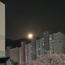 진해대로970번길 | 진해 맛집 야외테이블 반려동물 동반 가능한 구워주는 숙성고기집 성숙