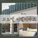 소노벨타워A비발디파크 | 홍천 가족여행 숙소 추천, 소노벨 비발디파크 호텔 이용 후기