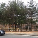 부영플러스공인중개사사무소 이미지