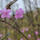 황금산-천마산 -주원오리 이미지