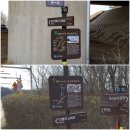 디엠지스테이 이미지