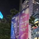 해운대고속 노동조합 | 부산 해운대 빛축제 2025 첫날 방문 후기