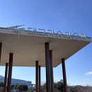 서예(사군자) | 대구간송미술관 &lt;삼청도도 - 매죽난, 멈추지 않는 이야기&gt; 전시 관람 후기