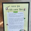 원데이클래스 강좌로 산리오 아이싱 쿠키 만들기(4개) | AK PLAZA 분당점 문화센터 솔직 후기 [상상의 숲과 이상한 나라의 앨리스]
