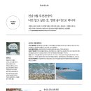 송이도친환경가족펜션 이미지