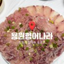 용원향어나라