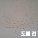 천안성환현대주유소 | 천안 성환 현대한솔아파트 도배 30년 구축 합지벽지 시공 후기