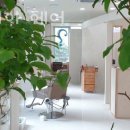 노벨리아 헤어 이미지