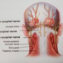 햇살가득한의원 이미지