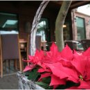 삼다해물뚝배기 이미지