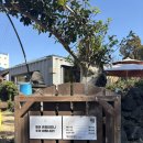 한철 | 제주 빵지순례 백한철꽈배기 후기｜웨이팅, 대파꽈배기, 메뉴 내돈내산 리뷰