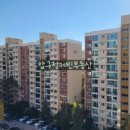 압구정-118 이미지