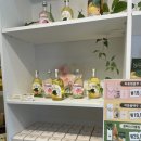 (주) 천지관광 | 260404 [당일치기 가족여행] 4편 하동 구례 벚꽃여행, 금양가든 - 최참판댁 - 오섬권역