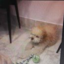 견을위해 자연을 담다 이미지