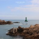 장군멸치회촌 이미지