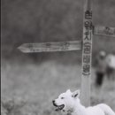 꽃님이네민박 이미지