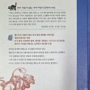 하늘궁 아리스 | 【해마】 아서왕과 원탁의 기사들을 읽고 📚