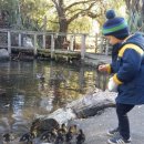 자연과우리 이미지