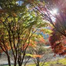 해평호주차장 이미지