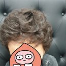 가위와빗헤어클럽