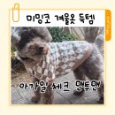 오늘의강아지 | 미밍코 강아지 겨울옷 60% 세일ㅡ아가일 맨투맨 내돈내산 후기