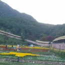 산청 동의보감촌 이미지