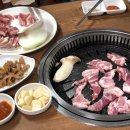 뉴착한고기