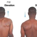 워너짐 반여 이미지