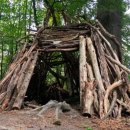 동물치유쉼터 이미지